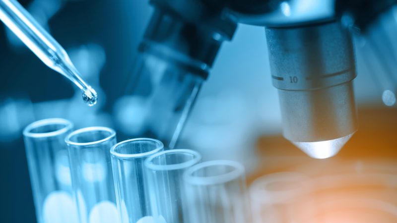 Roche 제약 책임자는 제약 개혁을 EU의 경쟁력 초점에 맞추라고 말했습니다.