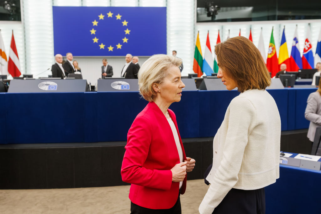 부다페스트 프라이드 : Von der Leyen의 무 활동에서 Renew Europe Hits Out