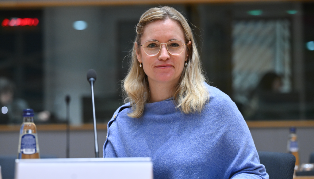 EU 경제에 대한 군사 지출 해설 '위험 요소', 덴마크