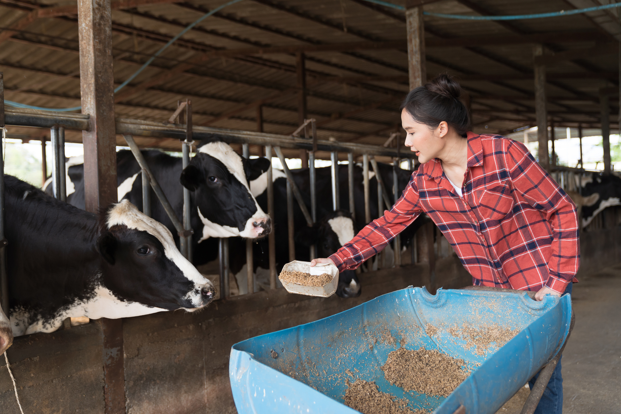 '질병 X'가 파업하기 전에 EU 법에 대한 하나의 건강을 하드 와이어