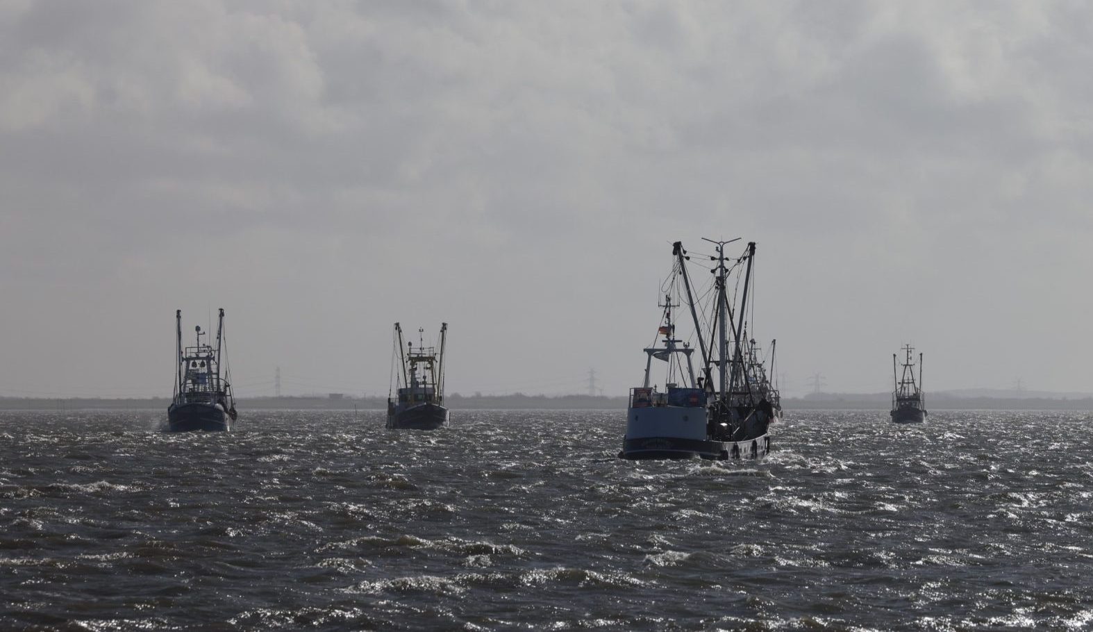 풍차에서 틸팅 : 베를린은 새우 낚시꾼 스파크 백래시를 구매하겠다는 제안