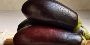 가지가 신체의 주요 기관에 미칠 수 있는 놀라운 이점