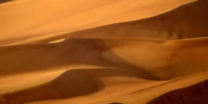 아랍에미리트, OPEC 탈퇴로 세계 석유 지도 뒤흔들다