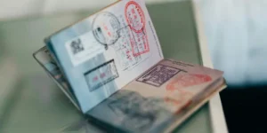 몽클로아(Moncloa)는 망명자들의 손주들의 투표를 옹호하고 대법원은 손주들에 대한 법을 유예한다